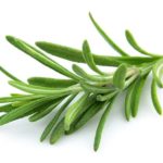 Rosemary Leaf Herbs 1oz